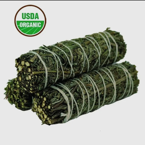 Mugwort – Sacred Herb for Cleansing, Intuition & Dreamwork Rituals - SYN - ergy