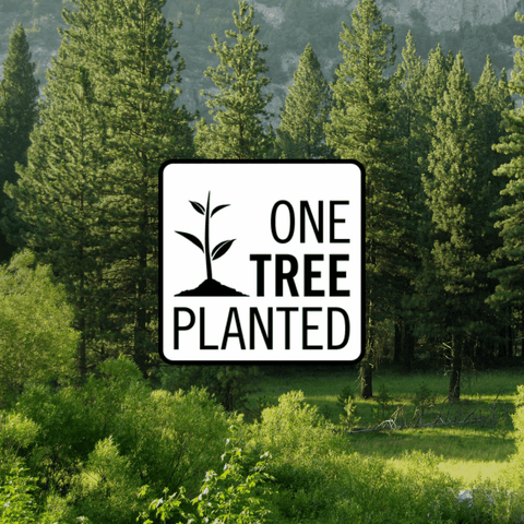 Donation of a Tree - SYN-ergy