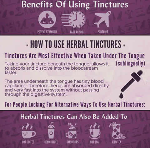 Organic Skullcap Tincture – 1 oz | RA Herbals by Sun God Medicinals - SYN - ergy