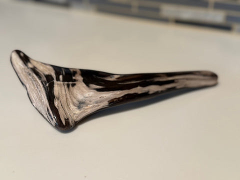 Polished Petrified Wood Display Piece – Natural Fossil Stone - SYN - ergy