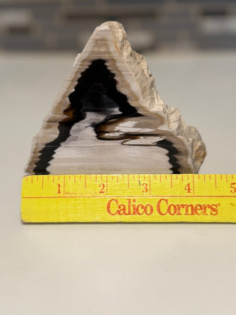 Polished Petrified Wood Display Piece – Natural Fossil Stone - SYN - ergy