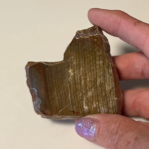 Polished Petrified Wood Display Piece – Natural Fossil Stone - SYN - ergy
