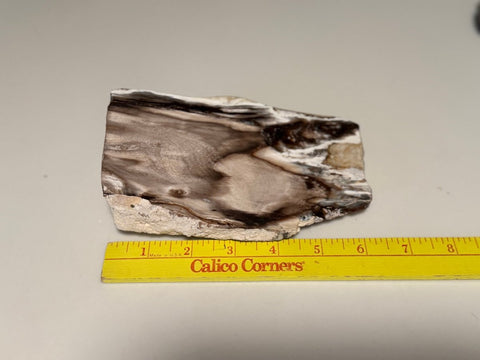 Polished Petrified Wood Display Piece – Natural Fossil Stone - SYN - ergy