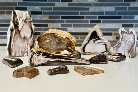 Polished Petrified Wood Display Piece – Natural Fossil Stone - SYN - ergy
