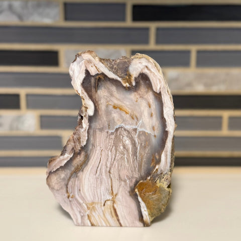 Polished Petrified Wood Display Piece – Natural Fossil Stone - SYN - ergy