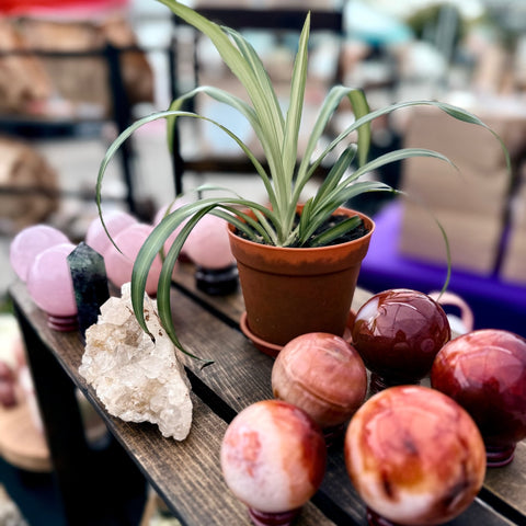 Community Events: Where to Find Us Locally