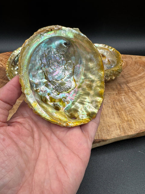 Abalone Shell for Smudging & Sacred Ritual
