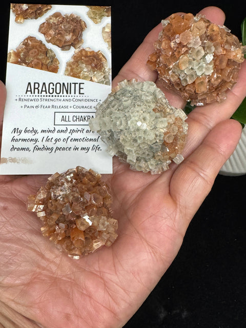 Aragonite star