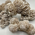 Desert Selenite Rose - SYN-ergy 