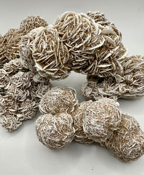 Desert Selenite Rose - SYN-ergy 