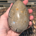 Druzy Septarian Dragon Egg – Grounding, Protective Crystal for Meditation & Chakra Healing - SYN-ergy