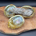 Abalone Shell for Smudging & Sacred Ritual - SYN-ergy