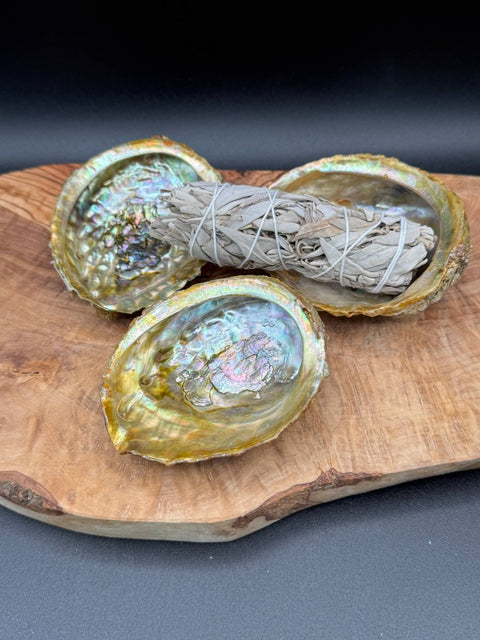 Abalone Shell for Smudging & Sacred Ritual - SYN-ergy