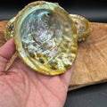 Abalone Shell for Smudging & Sacred Ritual - SYN-ergy