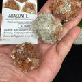 Aragonite star - SYN-ergy