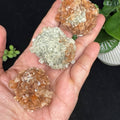Aragonite star - SYN-ergy