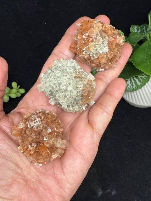 Aragonite star - SYN-ergy