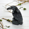 Black Onyx Raven Figurine |Protection, Grounding & Intuitive Insight - SYN-ergy