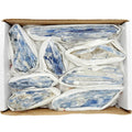 Blue Kyanite Crystal | Energy Alignment & Meditation Stone - SYN - ergy