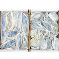 Blue Kyanite Crystal | Energy Alignment & Meditation Stone - SYN - ergy