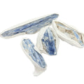 Blue Kyanite Crystal | Energy Alignment & Meditation Stone - SYN - ergy