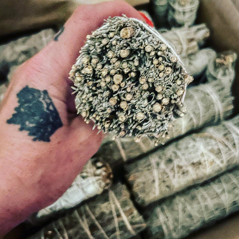Blue Sage Smudge – Purify Energy with Sweet, Herbal Aroma - SYN - ergy