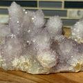 Cactus Spirit Quartz Cluster|Grade AA|Boekenhouthoek, South Africa - SYN - ergy