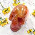 Carnelian Crystal Skull |Polished Carnelian Stone for Motivation, Confidence & Energy - SYN - ergy