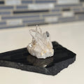 Clear Quartz Crystal Cluster| Master Healer Energy, Clarity & Amplification - SYN - ergy