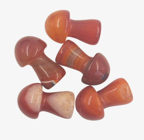 Crystal Mushroom Carving | Carnelian & Fluorite - SYN-ergy