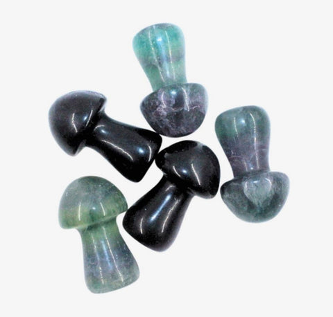 Crystal Mushroom Carving | Carnelian & Fluorite - SYN-ergy