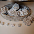 Desert Selenite Rose – Natural Crystal for Cleansing, Protection & Spiritual Growth - SYN - ergy