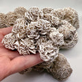 Desert Selenite Rose – Natural Crystal for Cleansing, Protection & Spiritual Growth - SYN - ergy