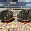 Druzy Septarian Dragon Egg – Grounding, Protective Crystal for Meditation & Chakra Healing - SYN-ergy
