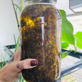 Elixir d'Arnica|Soothing Herbal Blend for Everyday Aches & Tension Support - SYN - ergy