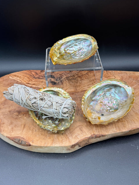 Abalone Shell for Smudging & Sacred Ritual