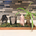 Forest Fae Altars|Intuitively Designed Crystal & Botanical Altars - SYN - ergy