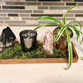 Forest Fae Altars|Intuitively Designed Crystal & Botanical Altars - SYN - ergy