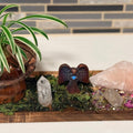 Forest Fae Altars|Intuitively Designed Crystal & Botanical Altars - SYN - ergy