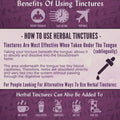 Organic Skullcap Tincture – 1 oz | RA Herbals by Sun God Medicinals - SYN - ergy
