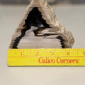 Polished Petrified Wood Display Piece – Natural Fossil Stone - SYN - ergy