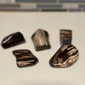 Polished Petrified Wood Display Piece – Natural Fossil Stone - SYN - ergy