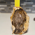 Polished Petrified Wood Display Piece – Natural Fossil Stone - SYN - ergy