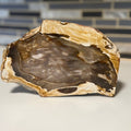 Polished Petrified Wood Display Piece – Natural Fossil Stone - SYN - ergy