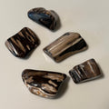 Polished Petrified Wood Display Piece – Natural Fossil Stone - SYN - ergy