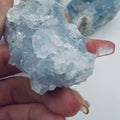 Celestite Cluster | 1 lb Raw Blue Celestite Crystal | Angelic Energy & Calm | Spiritual Meditation Stone | Spirit Guide Connection