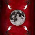 Seasons of the Witch: Samhain Oracle by Lorriane Anderson - SYN - ergy