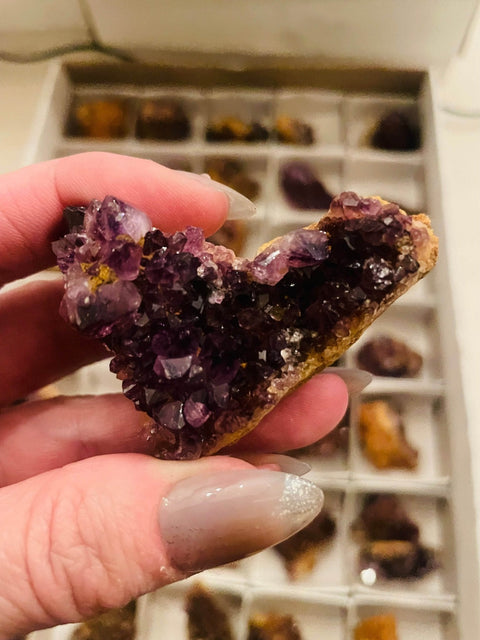 Zambian Amethyst – Deep, Regal Energy - SYN-ergy 