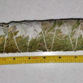 White Sage Cedar Smudge Bundle: Hand - Tied Ritual Smoke Wand - SYN - ergy
