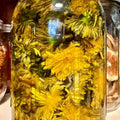 Wildcrafted Dandelion Salve: Herbal Balm for Dry Skin & Muscles - SYN - ergy